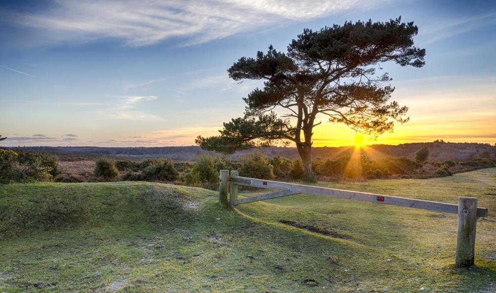 The Knightwood Oak A Luxury King Size En-Suite Space - Lymington New Forest With Totally Private Entrance - Key Box Entry - Free Parking & Private Outdoor Seating Area - Town ,Shops , Pubs & Solent Way Walking Distance & Complimentary Breakfast Items Exterior foto